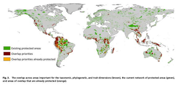 Global priorities for conservation across multiple